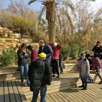 Gerusalemme, Gerico, Mar Morto e fiume Giordano